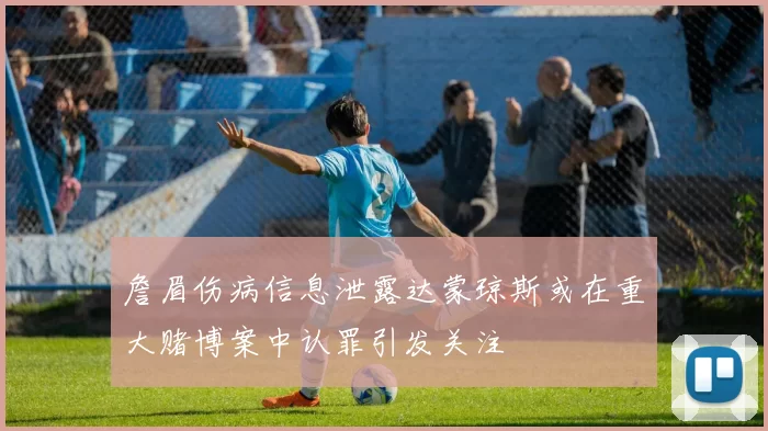 詹眉伤病信息泄露达蒙琼斯或在重大赌博案中认罪引发关注